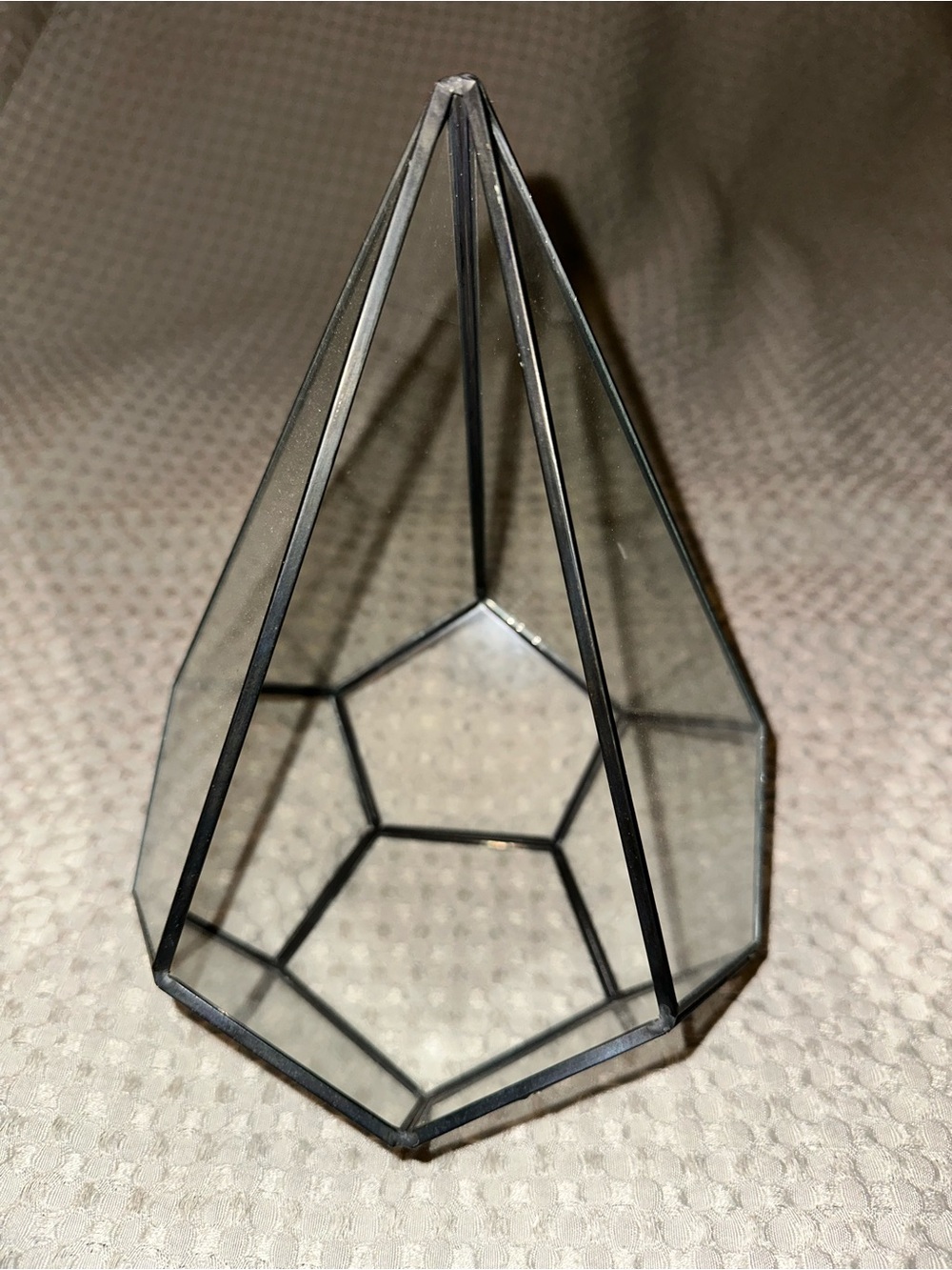 Home & Garden Black Geometric Glass terrarium Accent